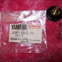 Membrane carburateur XVZ1300TD