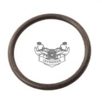 Joint torique TZ250